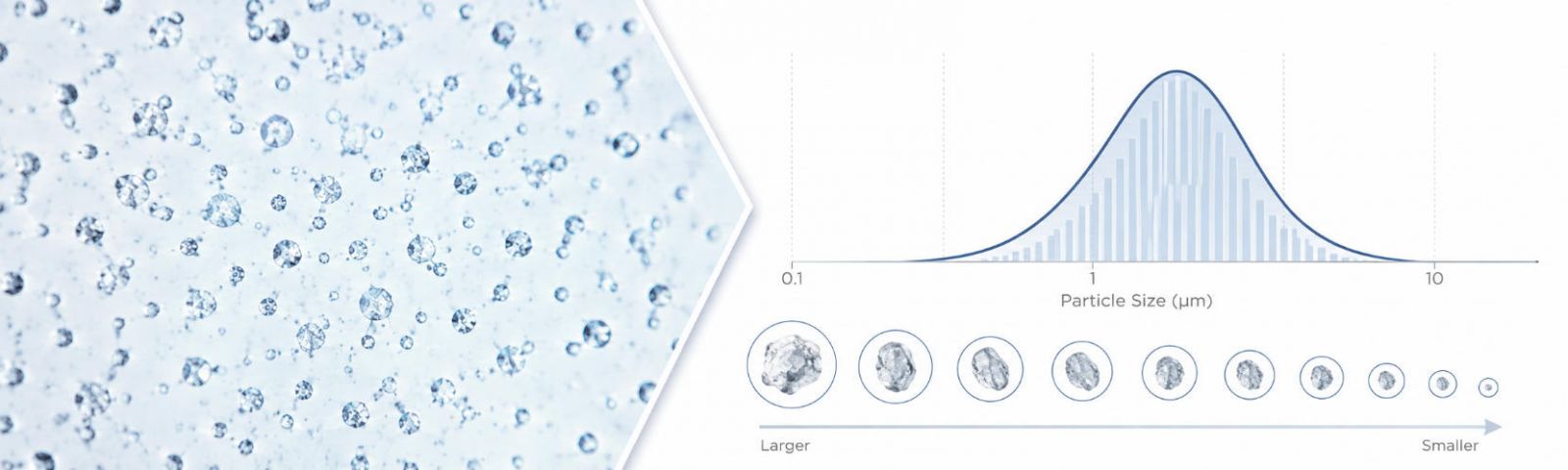 Microscopic dispersion and particle size distributions of micronized Triacontanol